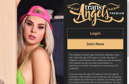 trans angels premium