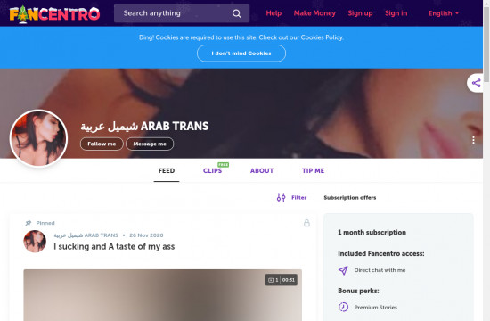 arab trans