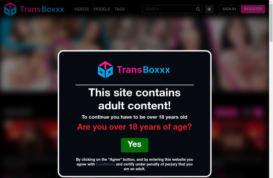trans boxxx