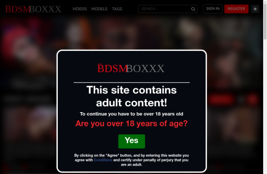 bdsm boxxx