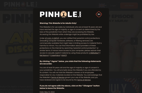 pin hole