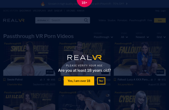 passthrough vr